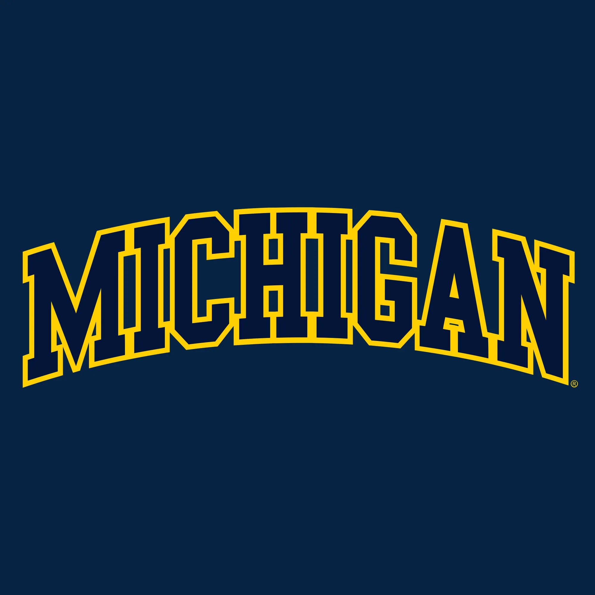 Champion Michigan Wolverines Applique Powerblend Hoodie - Navy