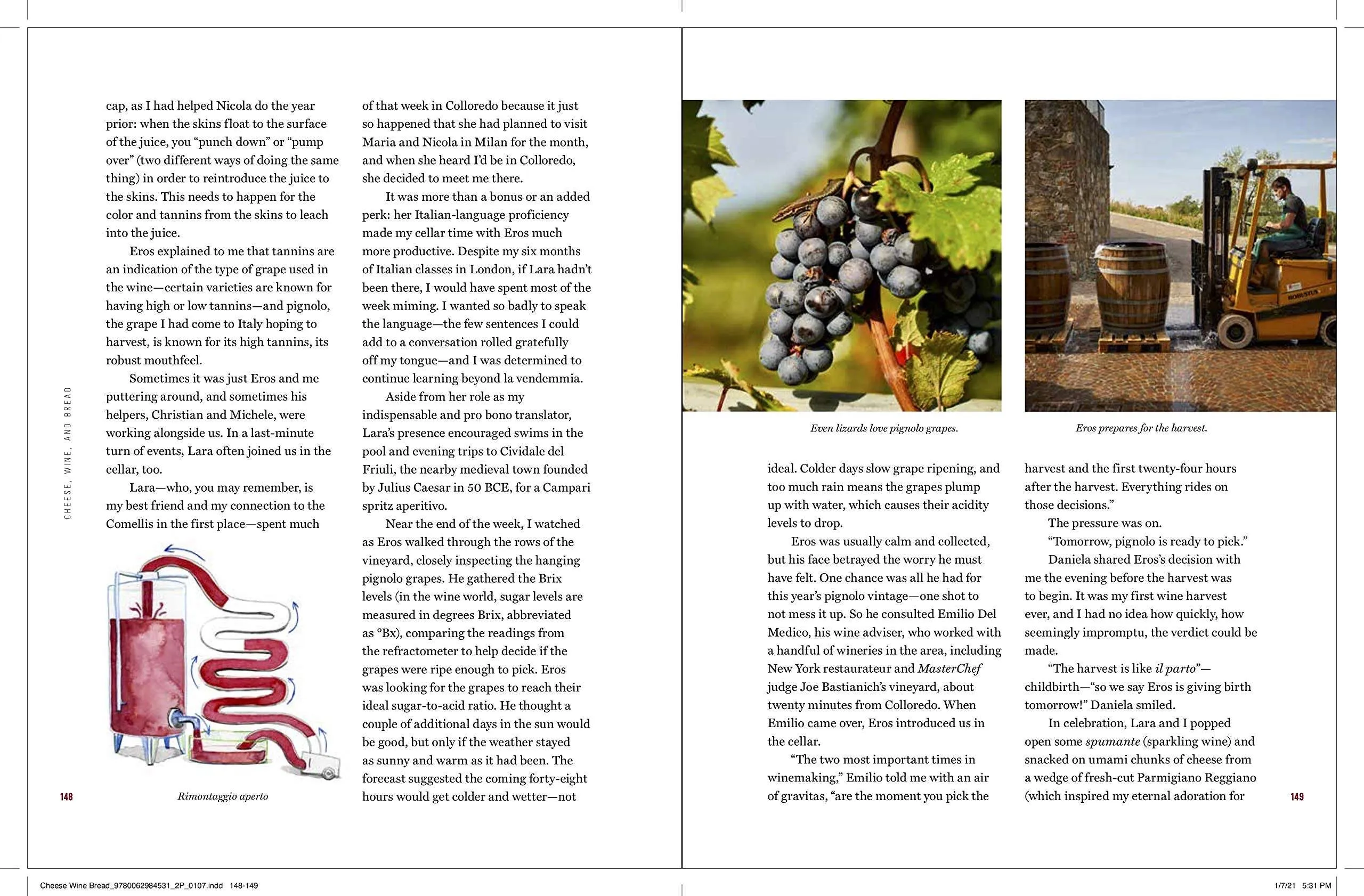 Cheese, Wine, and Bread Discovering the Magic of Fermentation in England, Italy, and France