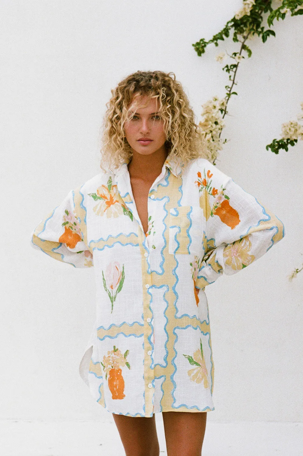 Jay Shirt Dress - Flower Pots